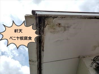 軒天　ベニヤ板　腐食